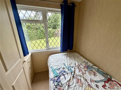 Picture 14
